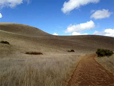 Bald Hill Hike, Mt. Tamalpais