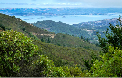 Matt Davis Trail Hike